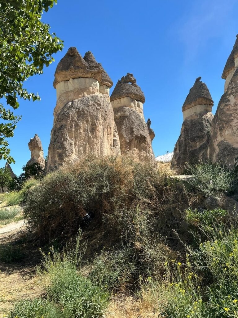 The fairy chimneys of Paşabağ, Cappadocia
