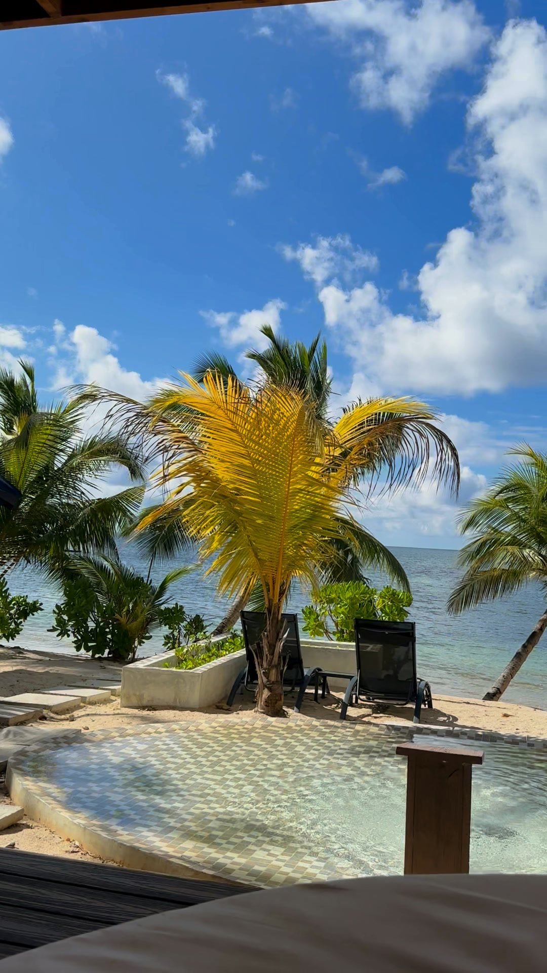 Pool and palms by the sea on Praslin