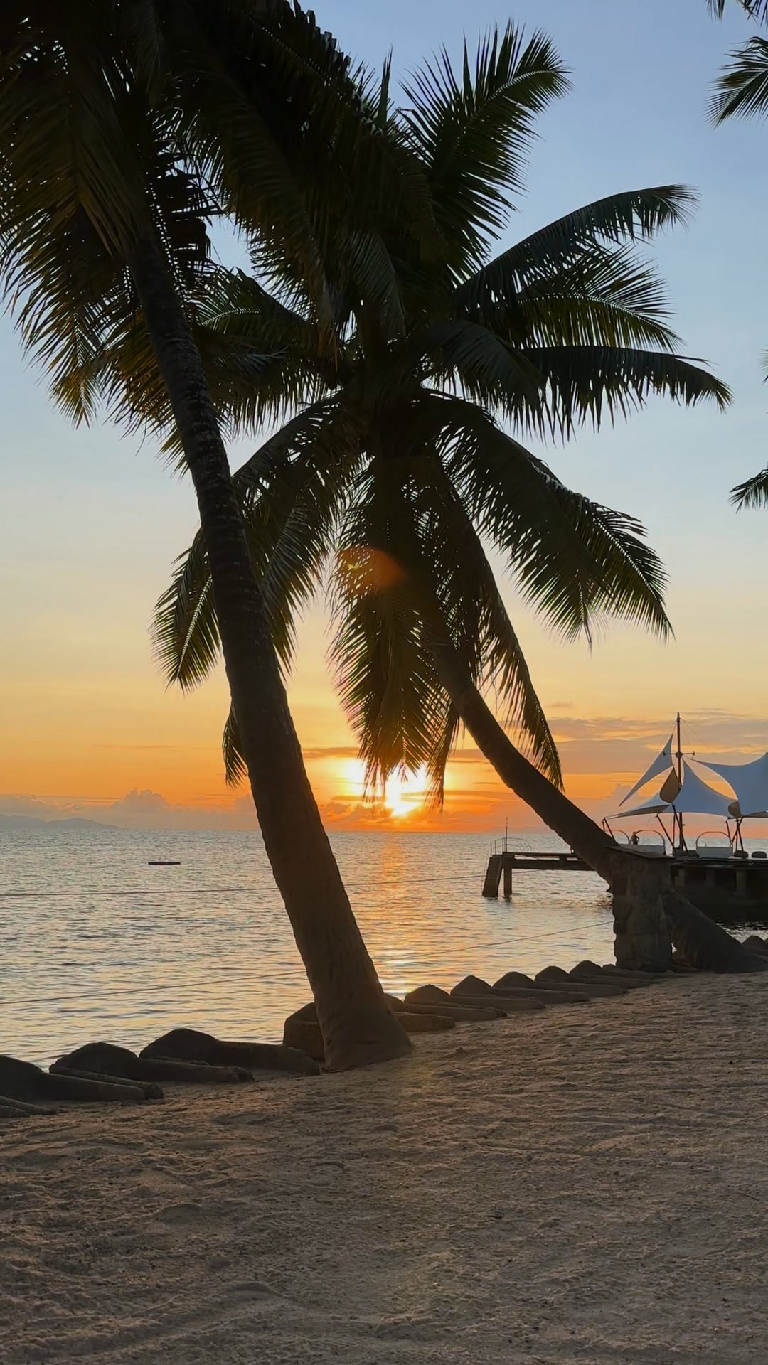 Sunset through the palms on Praslin